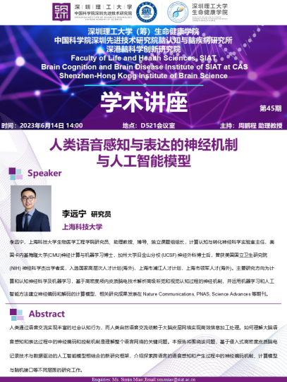 人类语音感知与表达的神经机制与人工智能模型